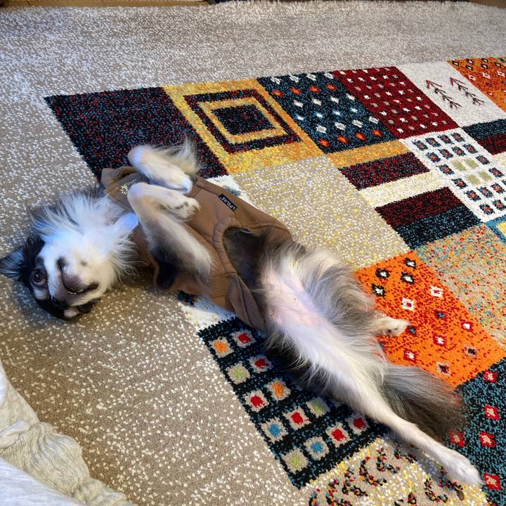 F7fcf52d 045f 4959 99b0 de2e3f36743a 1708762641982