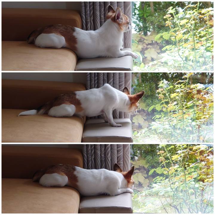 F7fd3aa0 dcb1 4f82 8825 638bf839e041 1689933563693