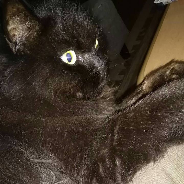 F7fd7cf7 62e3 43ad a652 86a9f6930273 1507852765968