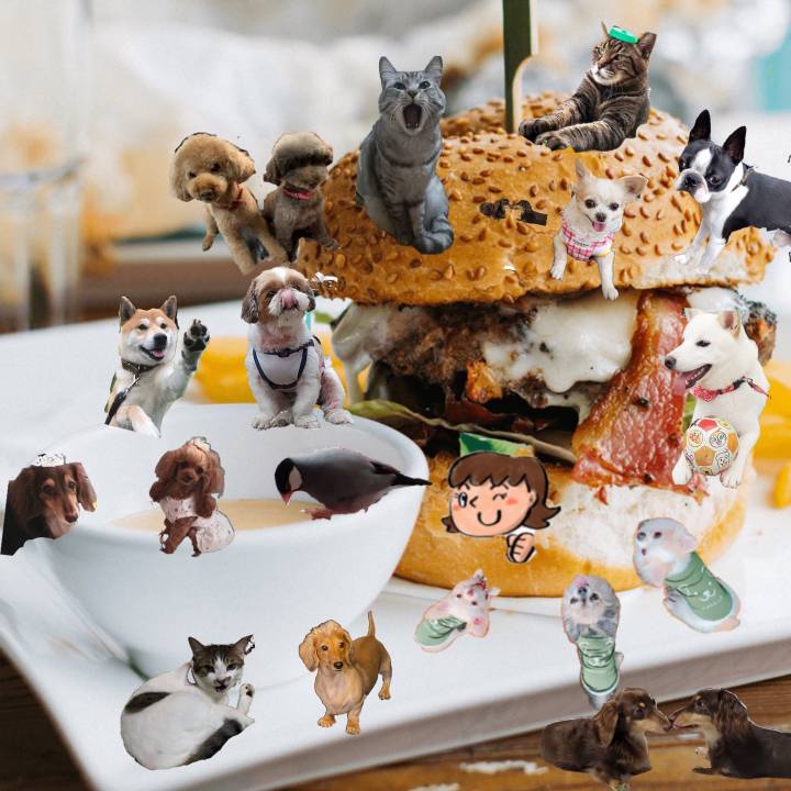 F7fd88ab 766a 43da 99e9 a6a6922f6bd6 1631955739914