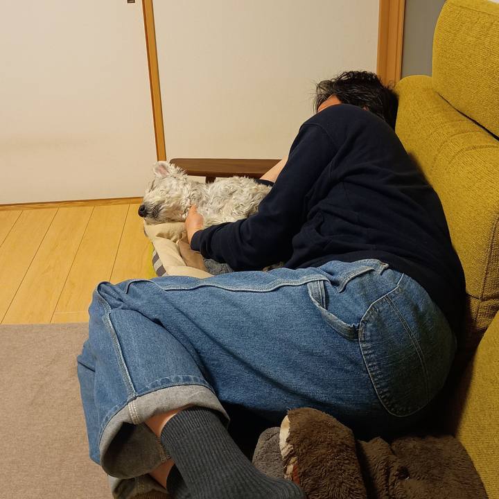 F7fd8b56 a319 4962 b015 778278c7c6e0 1773661622646