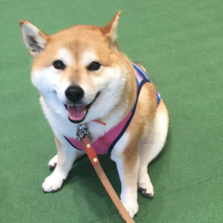 F7fdb4bc 3445 42ff 91da 864bd906c193 1566197244129