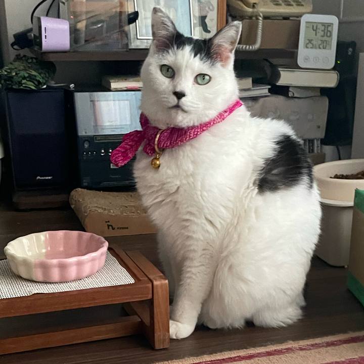 F7fe03bc 76b1 4933 983f 2ee4725116ff 1768721734763