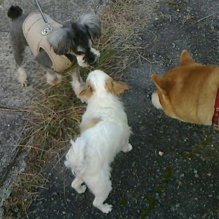 F7fe1db9 bbd6 421e 8645 b8a8004f5fcb 1511264516843