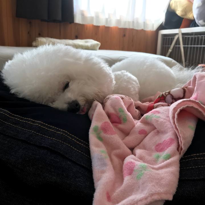 F7fe2821 338f 4413 b395 28c2983bbb60 1540168994290