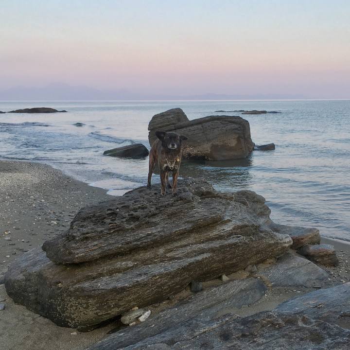 F7fe2a4e 7fcd 4ce5 81ce c6cd7c5891bb 1522149166199