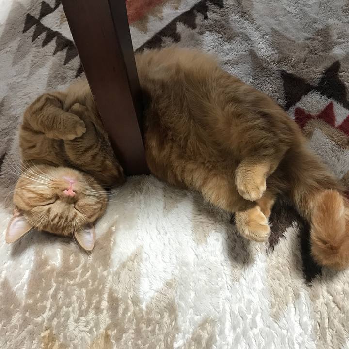 F7fe593c 4985 498d a2ac 087d99fb7693 1523434385429