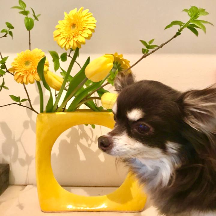 F7fe653a 6b09 4721 bee9 06dbf03669fb 1585377111109