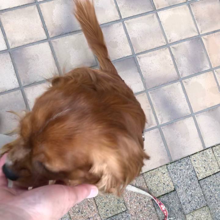 F7fe68e9 b7c6 4d64 bbec f62fd86d0b80 1592431259221