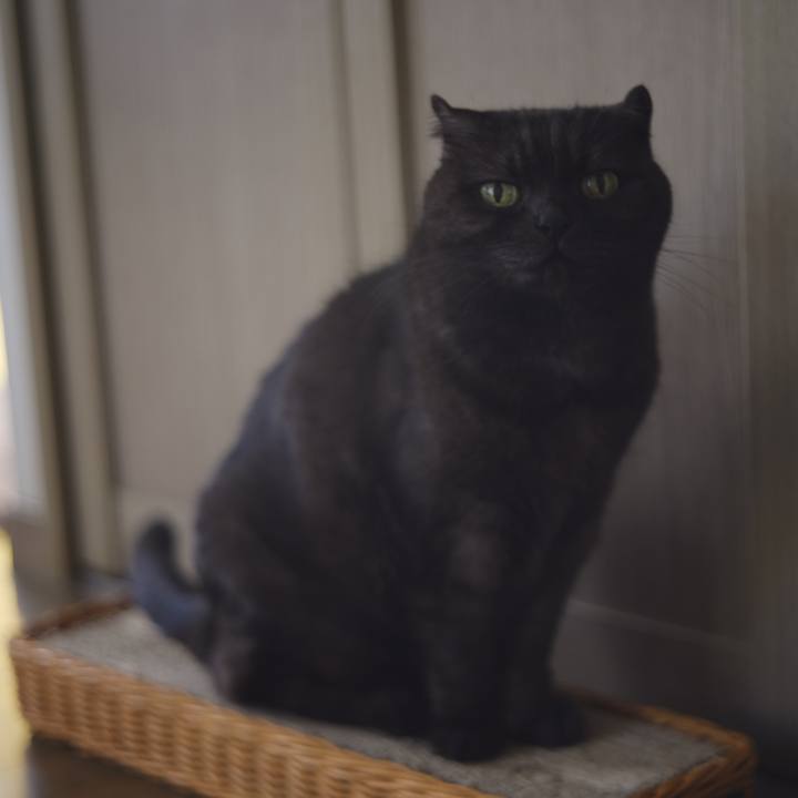 F7fea17d b58d 41df bd64 f4ba38c9cbe3 1614499773374