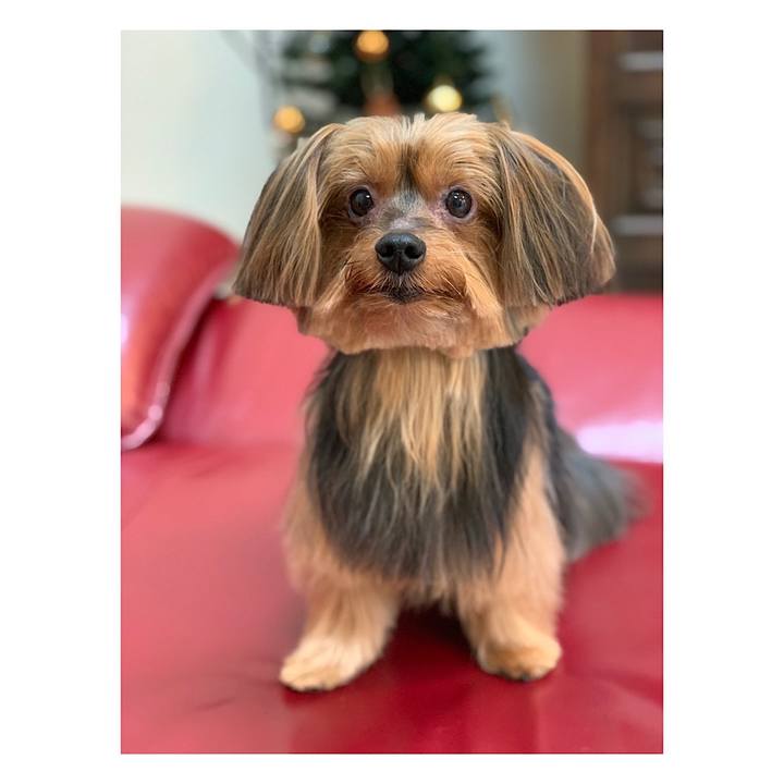 F7fedd58 8119 4bf4 9945 3693cc637e6b 1545640771108