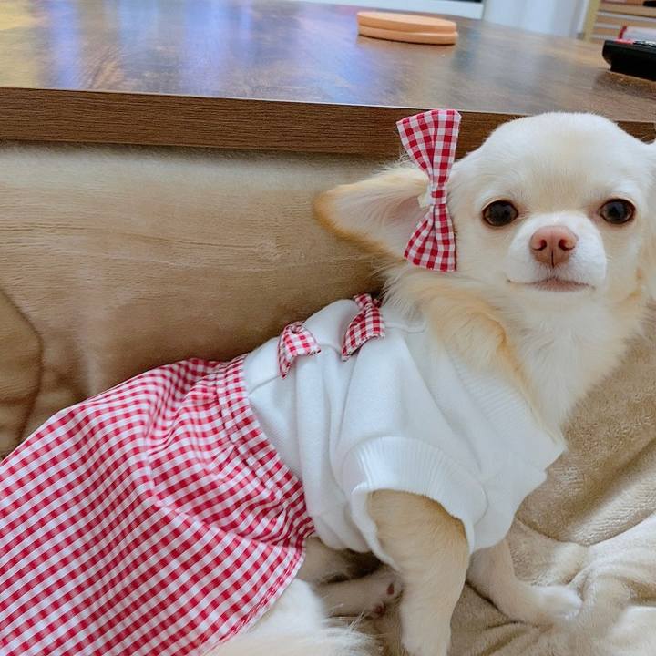 F7feed7c ae8e 4b51 baa7 954f7263610a 1612614892340