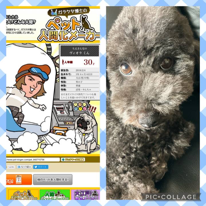 F7ff209b 1365 4f9b abe1 bb463408bf74 1630115325219