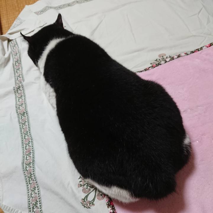 F7ff309c 1f8b 4a9d 8960 7265aa0fdcd6 1600938390813