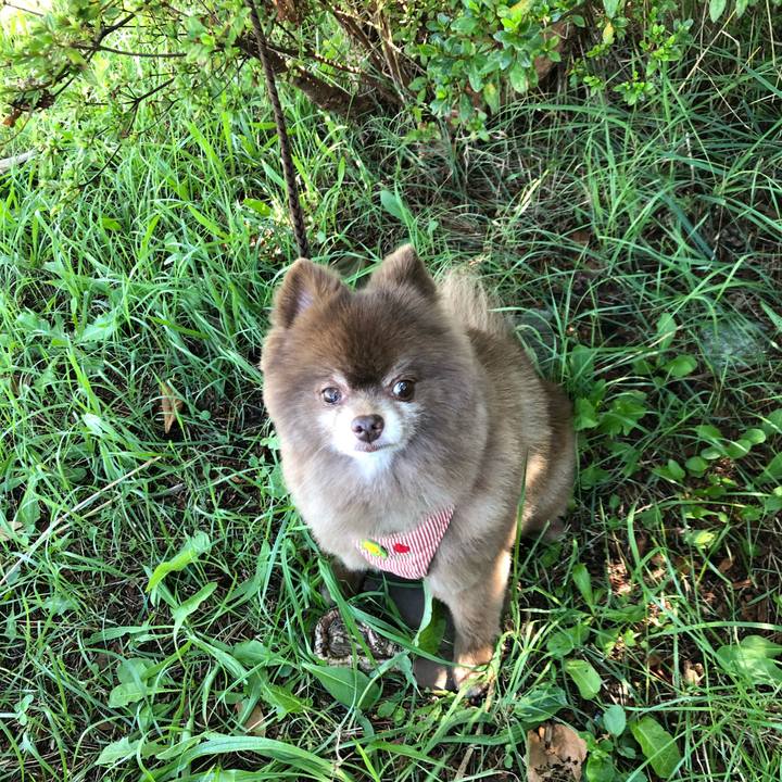 F7ffe5f0 0363 40de a3d5 205218c2c9e9 1567335942395