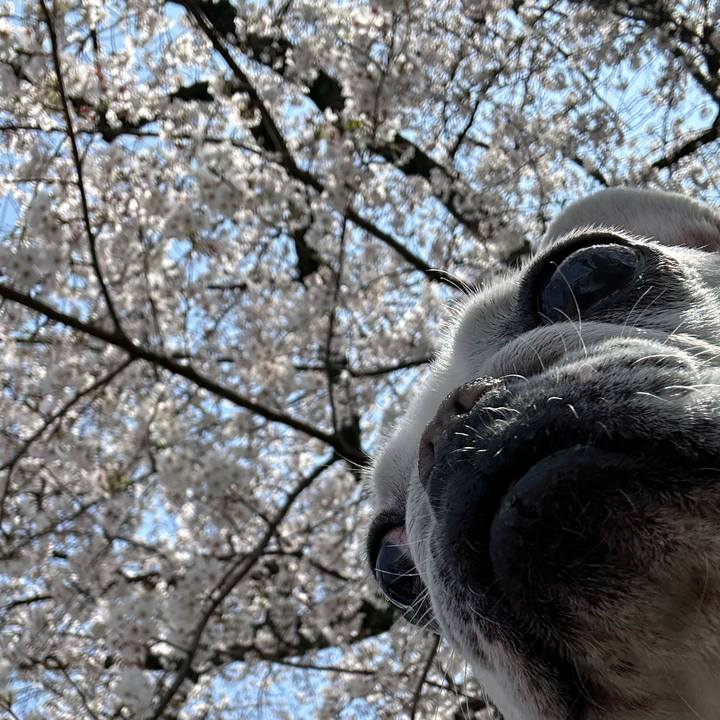 F8003d0f cd2d 47f0 96f6 0f76dcb0a062 1743833287323