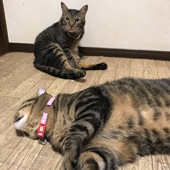 F8005897 c149 424a 9ce2 a8bfefa14584 1628343791316