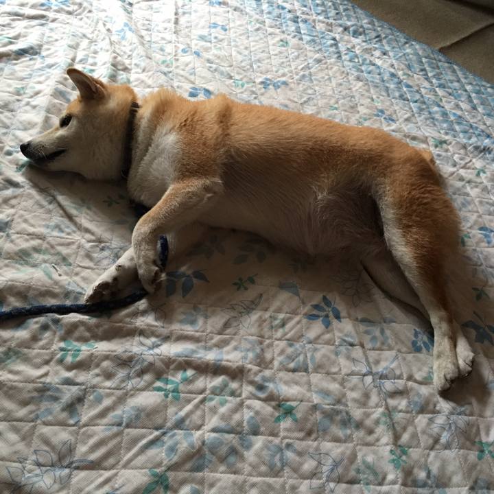 F8008470 7ab1 453e 9785 301cf905a1b6 1523748968344