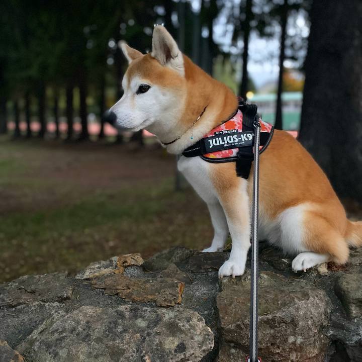 F800a004 6f12 4a6c acd4 ada5097db965 1634205035494