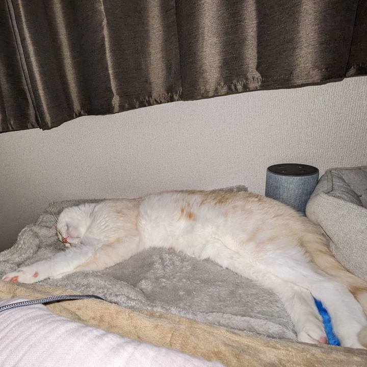 F800a789 cc26 49a0 ac2b 7a2023096c9f 1696555038438