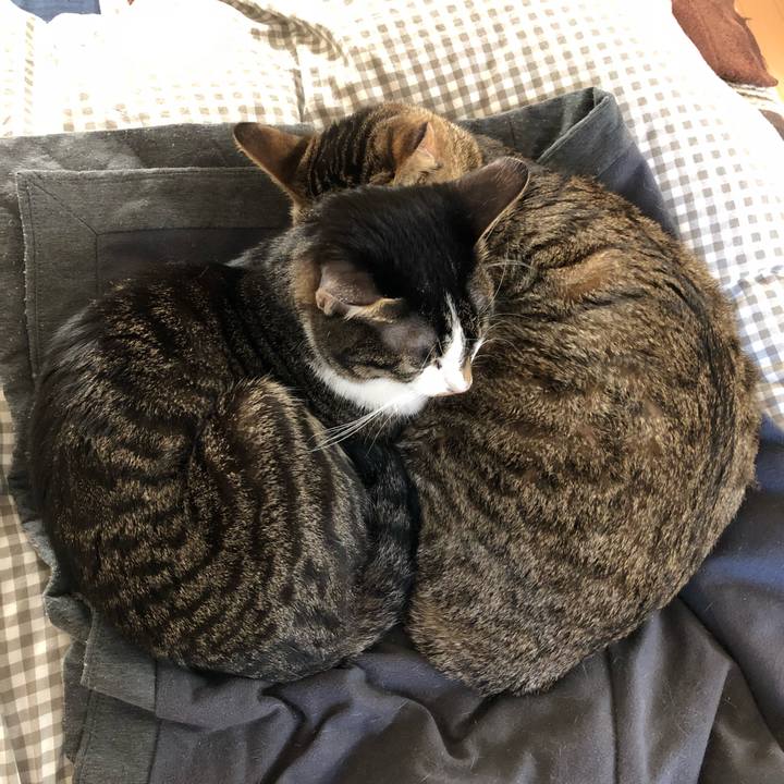 F800a8b3 60e9 40eb af91 247ee720d33f 1518090149820