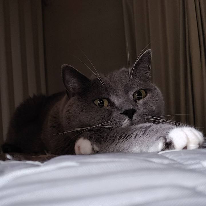 F800afbd a93d 47b8 9b19 02dce2d85775 1721311203385