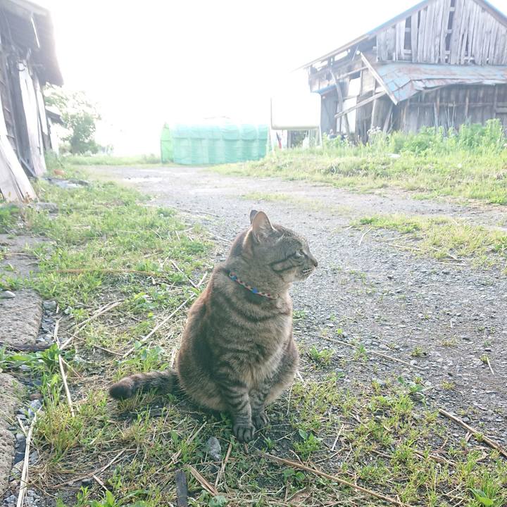 F800b23d fee6 4f36 97fe d9a46cf7cda4 1654031681528