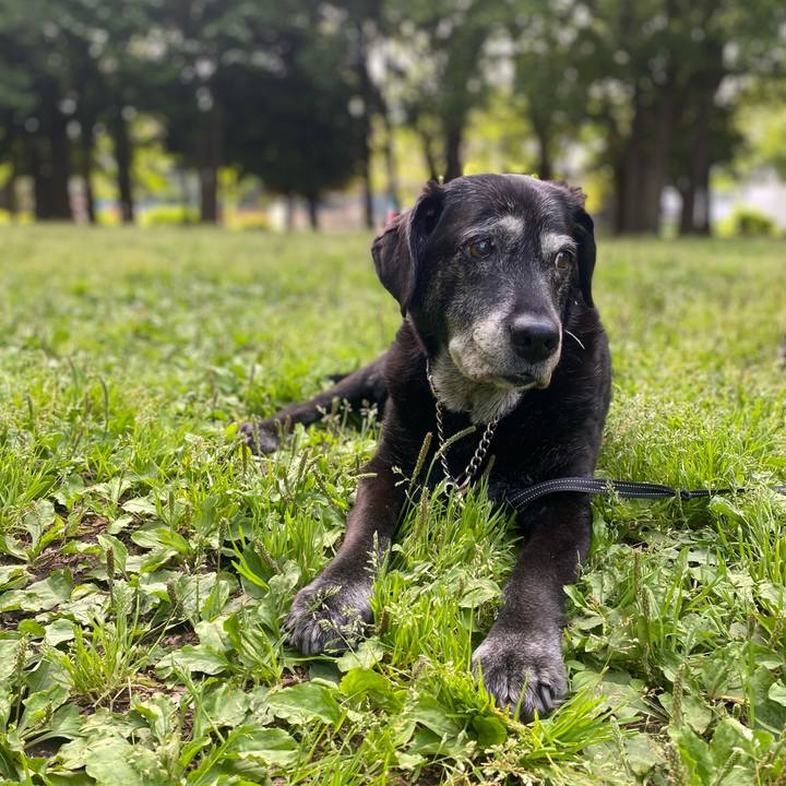 F800cd1b 2401 4f07 b767 511be457bbf2 1758983882884