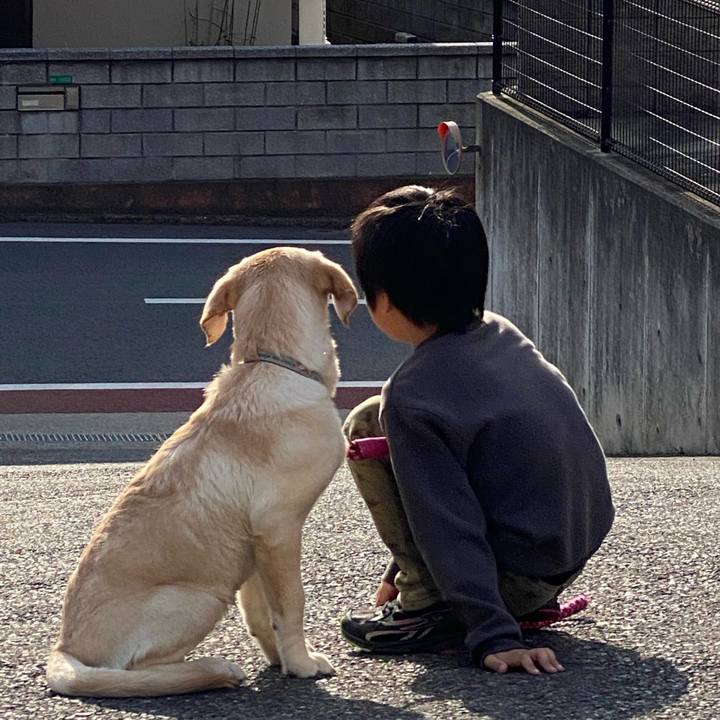 F800da90 af1f 4912 9f41 ad2357e9571d 1617956768694