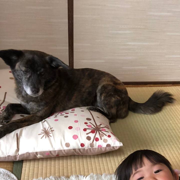 F800e337 c37e 4def b7da dbdf20d00d1b 1586183607217