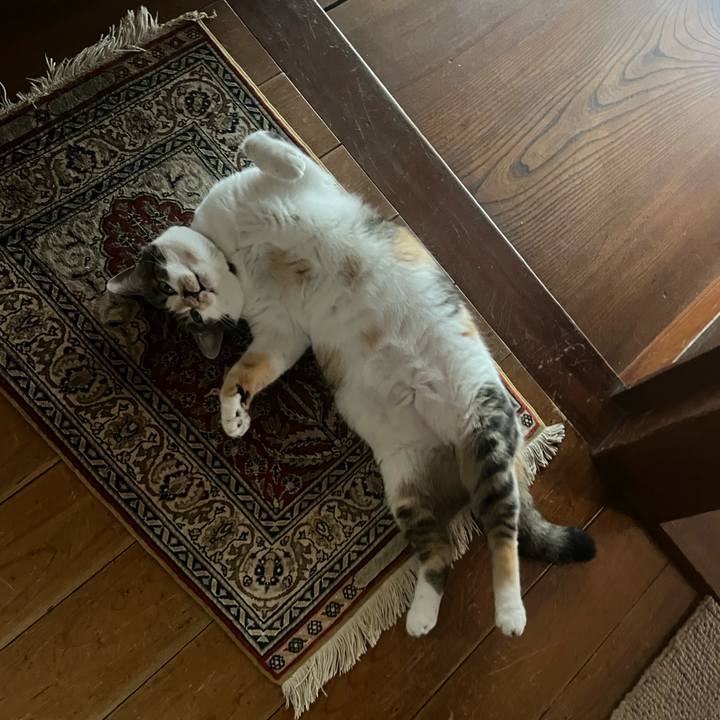 F80105bd a7ae 4564 bc7b 4d184d566dce 1756685597403