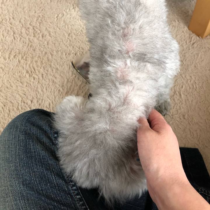 F80116ea 8b6c 4614 9c75 c8168c8b2498 1585389791561