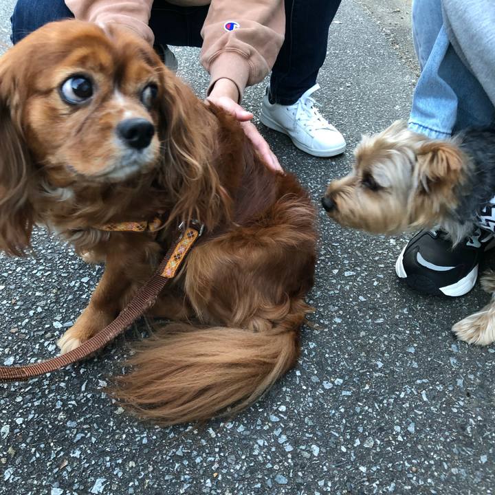 F801228e 1c33 4d71 b273 94831d9640f3 1634509979955