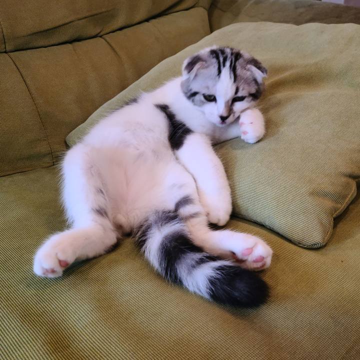 F80136cc d87f 4aa5 b419 806aeb728575 1629272722126