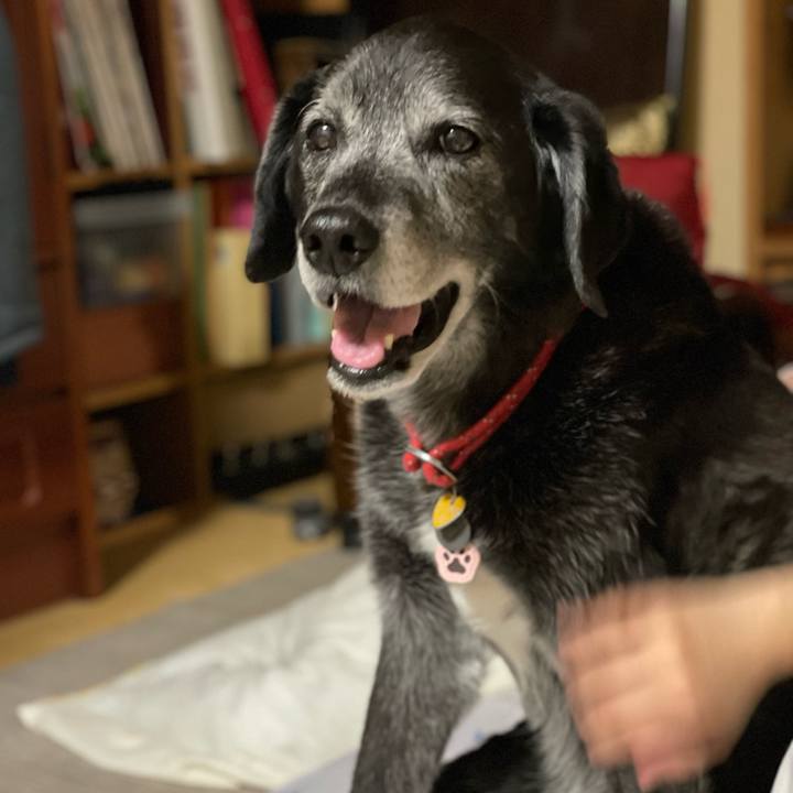 F8013d5a 6a98 473a 92c8 1476fa399acc 1772367102235