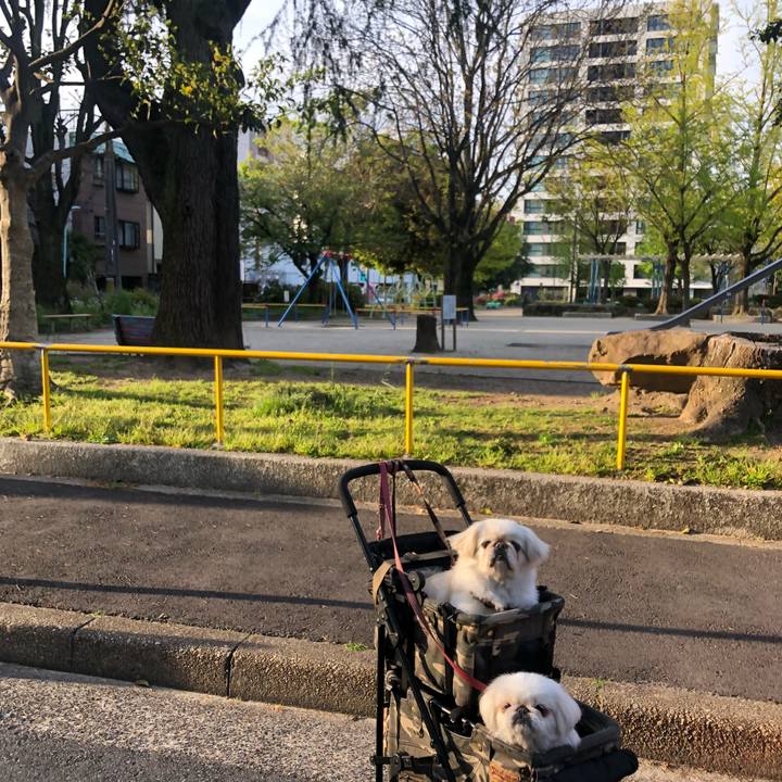 F801707f 492b 4a2f 9795 aa5cc58d08e3 1587593633835