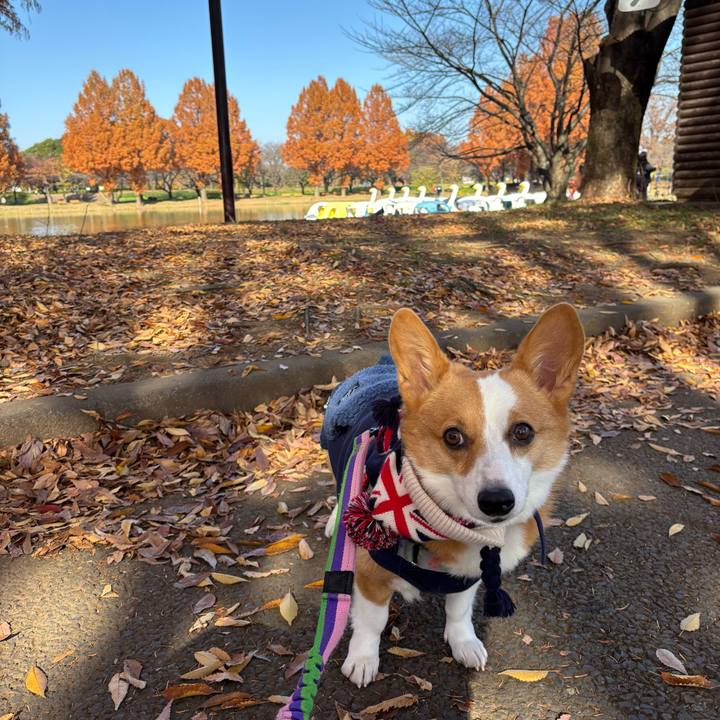 F80198a0 0346 43b3 8979 51b165051571 1764474245655