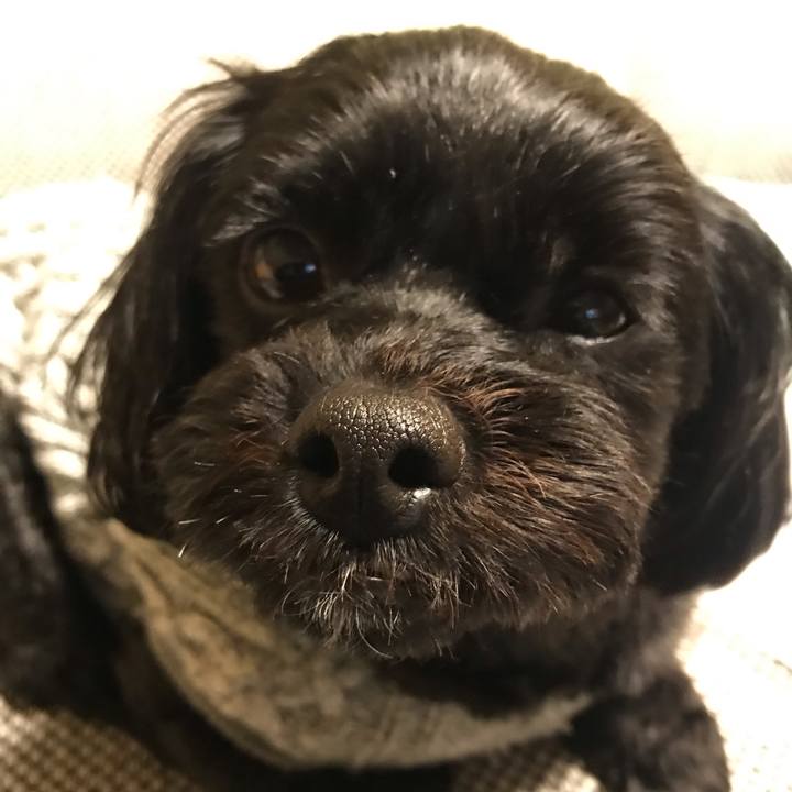 F801d7fc c613 4504 9b2e ee702e83caa7 1551703222997