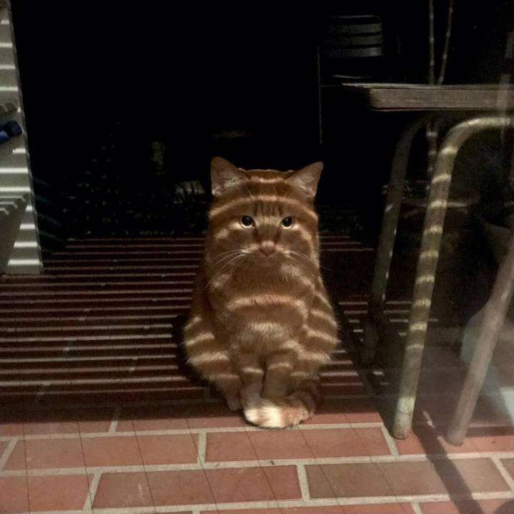 F801e8ac 399d 443a 9bd4 c9cad298b69a 1606389645827