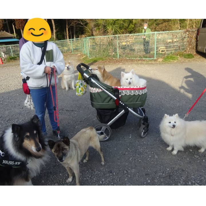 F8021c37 b509 49ea b6e5 796a2c536b46 1613207985861