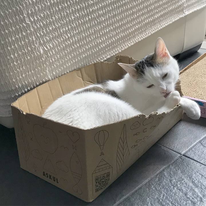 F8022702 931f 4b3f a0a7 a3f58bb8cd4c 1531743401328