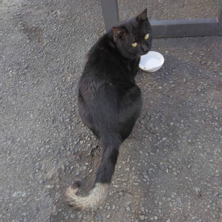 F8022f01 2cd8 404b 931f bf84b043d352 1669114948313