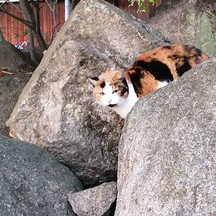 F80258ca 71e5 42b1 9220 991aa8c81ef4 1637186057891