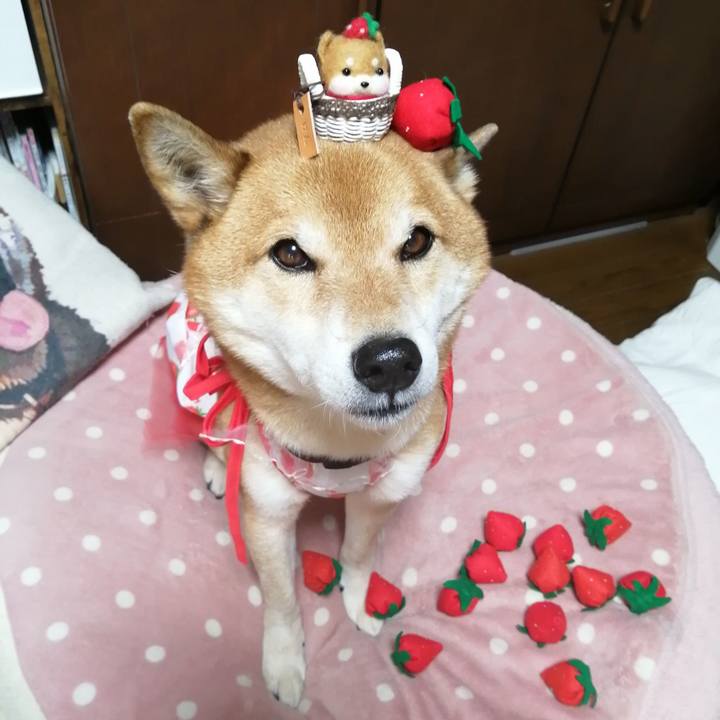 F8028df6 64a5 4cd1 aa2b 833dc2aab4c8 1642427783443