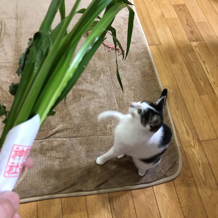 F8029e1e 82c8 4a01 8007 51743f687aae 1620213625048