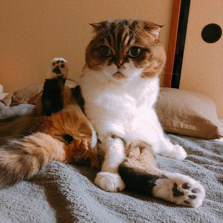 F802a234 0394 48b0 862f a189e57e8268 1545318388517