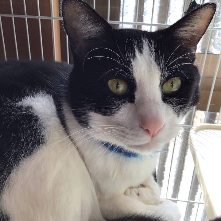 F802c2e6 d48f 4ecf b0db 7715bcda0fca 1705638493118