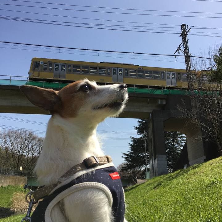 F802c5c3 d666 4469 9d5e 5170fa1d0b62 1585175488581