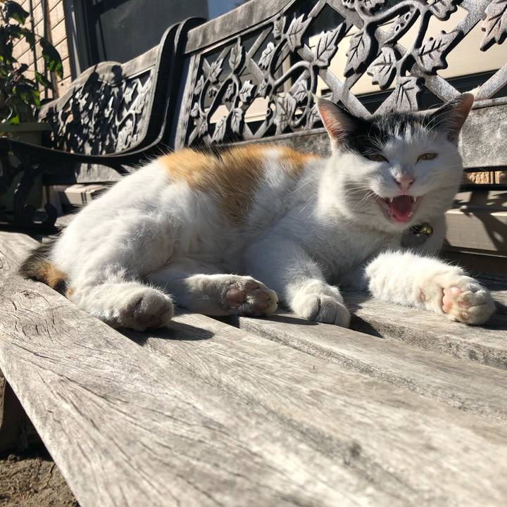 F80302f2 edac 4001 8f4d 377b8e597453 1609147835825