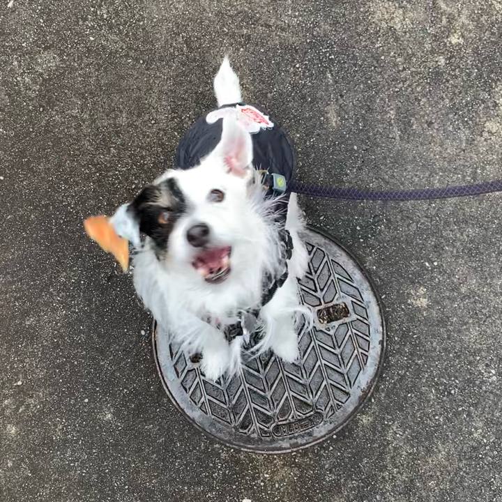 F803060c a04c 49a0 a8fb 0ff57a3b2299 1674436256231